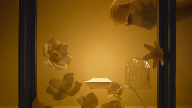 1631148592375714.png image.png